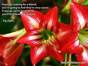 zig_ziglar_quotes Quotes 2